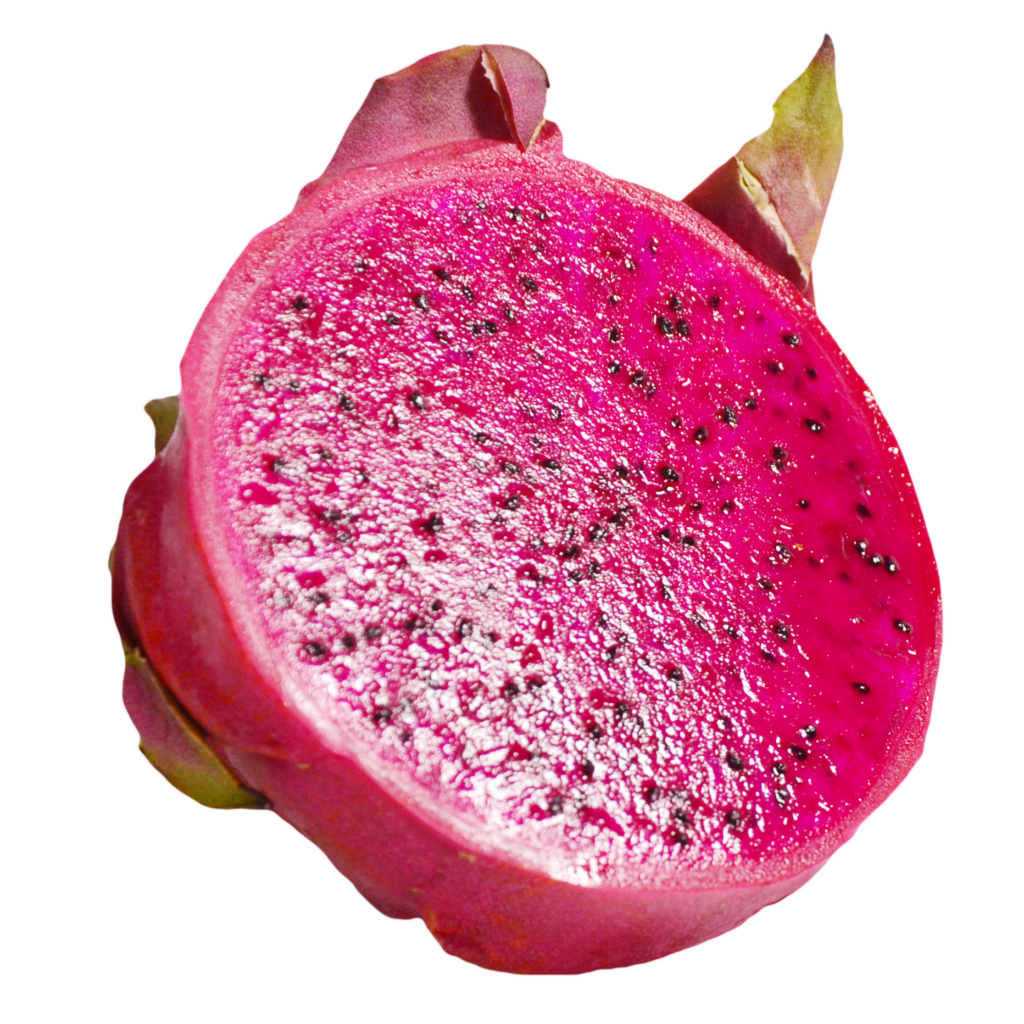 Dragon Fruit Cuttings (Seedlings) - Superfruits Kenya